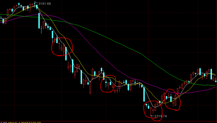 公开“账本”！上海率先上线“电费小程序监管平台”打通惠企“最后一公里”