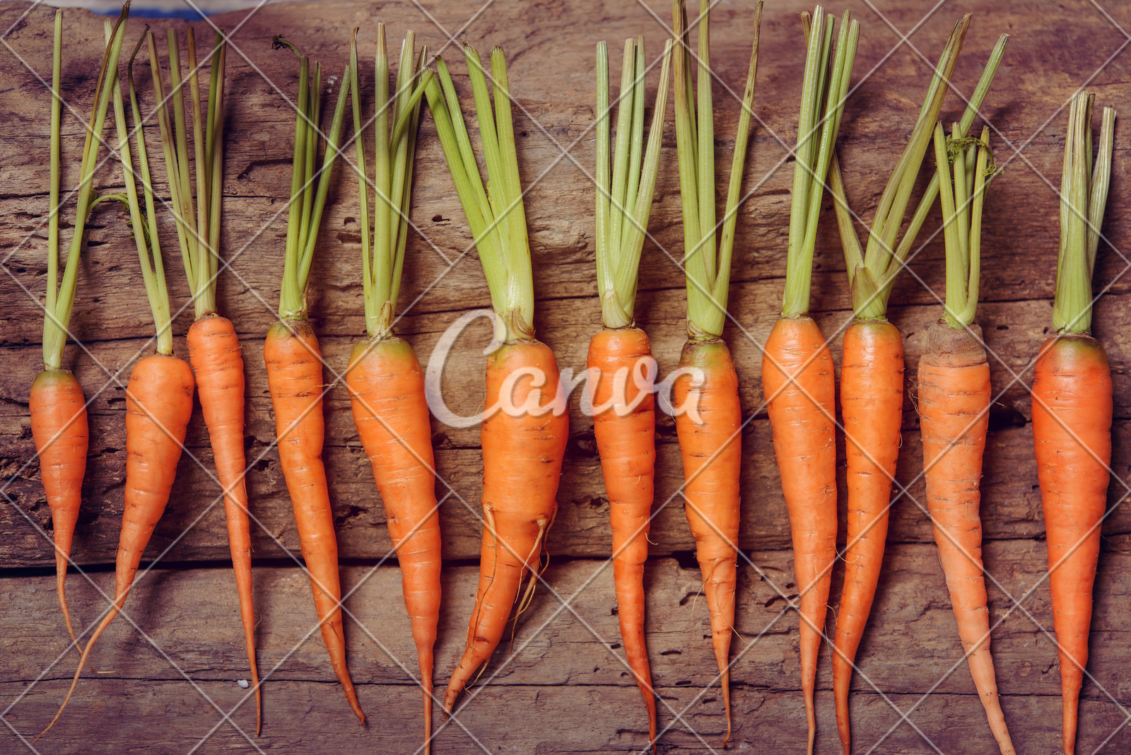 青海省消费投诉处理满意度位居全国第四